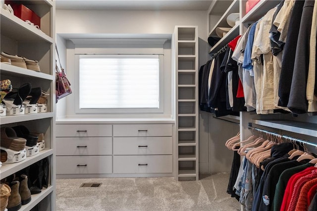 1113 Hummingbird Ct, Greenwood, MO 64034 - walk in closet featuring carpet