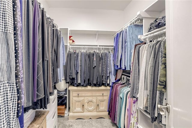 1021 SW Summit Falls Dr, Lees Summit, MO 64081 - view of walk in closet