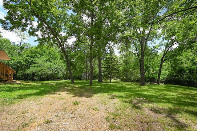 2415 E 126th St, Kansas City, MO 64146 - view of grassy yard