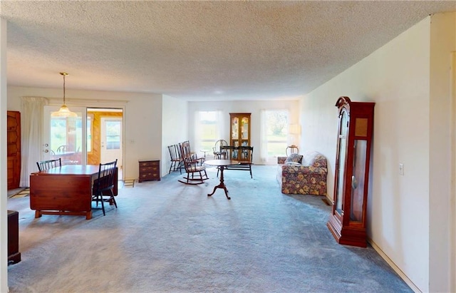 4598 N Avilla St, Reeds, MO 64859 - living area featuring carpet flooring and a textured ceiling