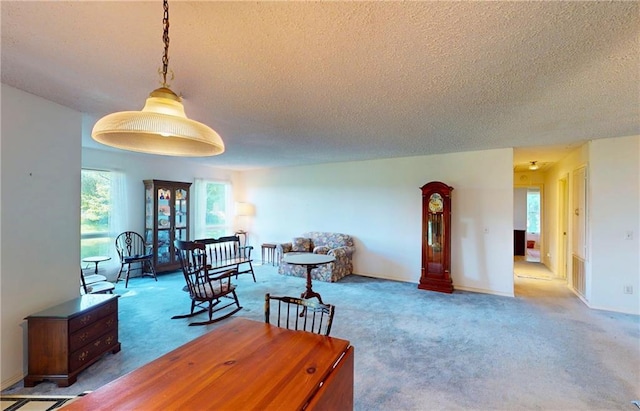 4598 N Avilla St, Reeds, MO 64859 - living area featuring a textured ceiling and carpet floors
