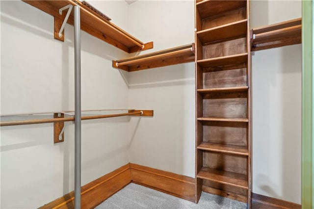 13109 W 65th St, Shawnee, KS 66216 - spacious closet featuring carpet floors