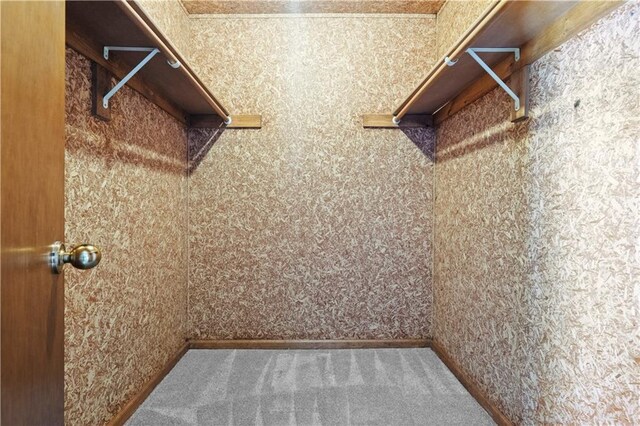 13109 W 65th St, Shawnee, KS 66216 - walk in closet featuring carpet