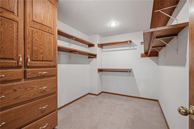 1001 E Park Rd, Garnett, KS 66032 - walk in closet with carpet flooring