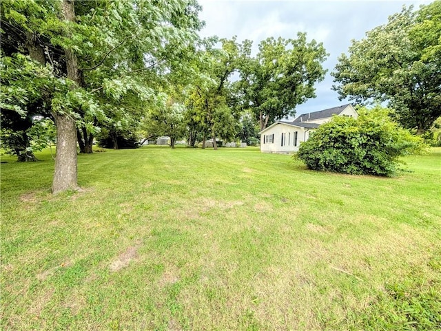710 E Vine St, Iola, KS 66749 - view of green lawn