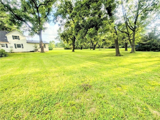 710 E Vine St, Iola, KS 66749 - view of green lawn