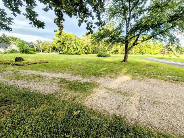 710 E Vine St, Iola, KS 66749 - view of green lawn