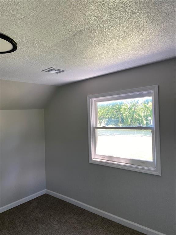 710 E Vine St, Iola, KS 66749 - additional living space featuring vaulted ceiling, a textured ceiling, and dark carpet