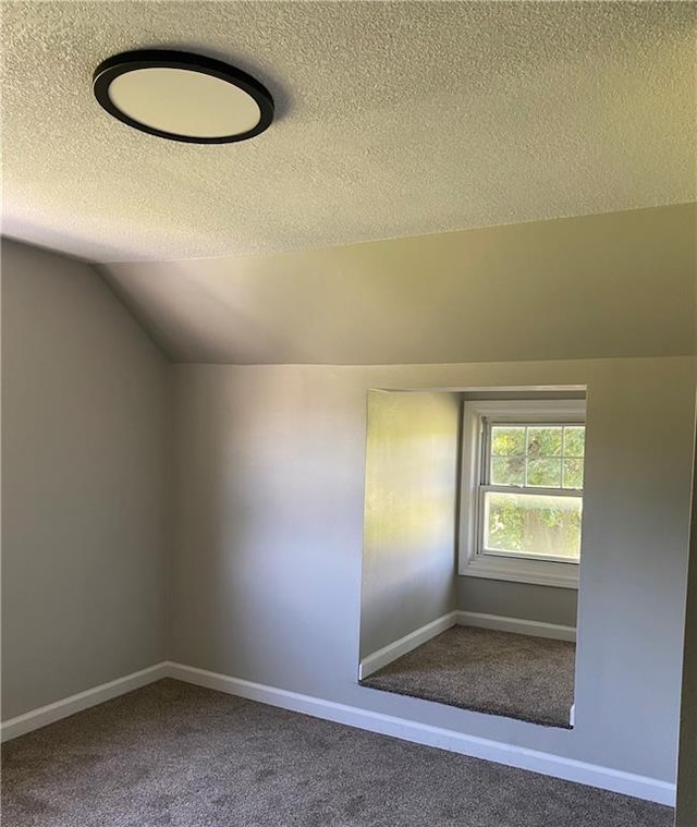 710 E Vine St, Iola, KS 66749 - additional living space with a textured ceiling, carpet floors, and vaulted ceiling