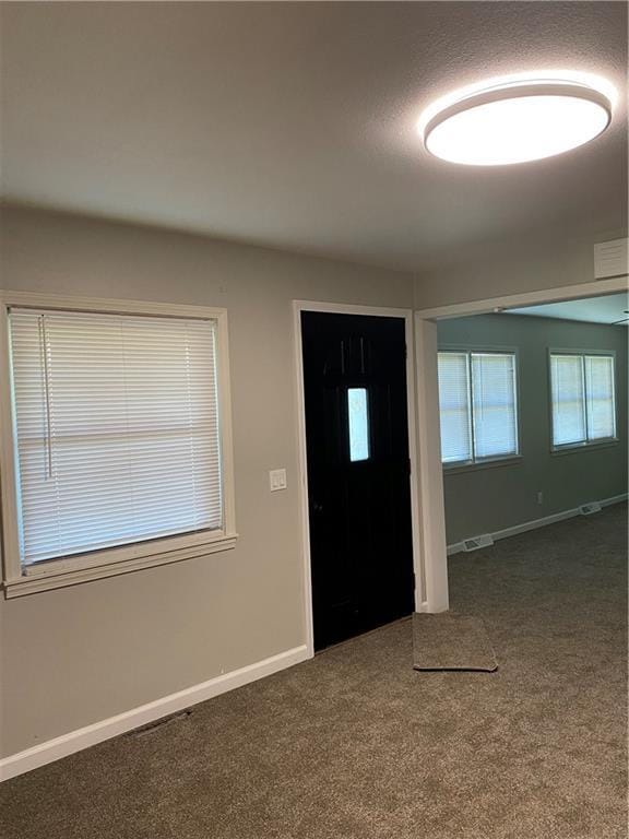 710 E Vine St, Iola, KS 66749 - entryway featuring carpet and plenty of natural light