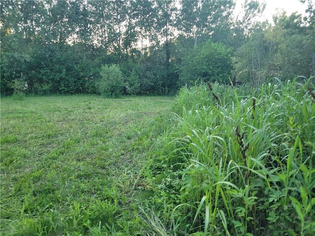 3501 County Road 400, Amazonia, MO 64421 - photo 39