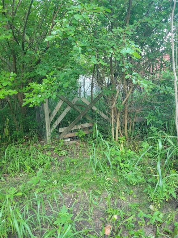 3501 County Road 400, Amazonia, MO 64421 - photo 42