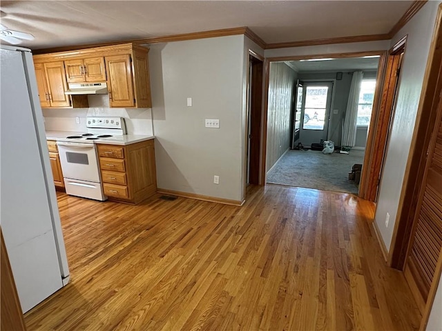 131 E Warren St, Gardner, KS 66030 - kitchen featuring white appliances, under cabinet range hood, crown molding, light wood-type flooring, and light countertops