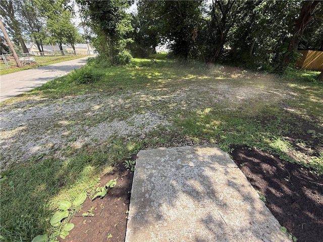 303 Bell St, Richmond, MO 64085 - view of yard