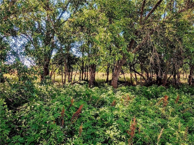 2273 Minnesota Rd, Iola, KS 66749