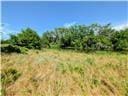 2273 Minnesota Rd, Iola, KS 66749