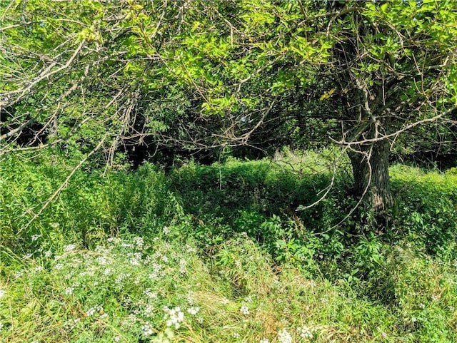 2273 Minnesota Rd, Iola, KS 66749