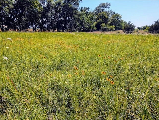 2273 Minnesota Rd, Iola, KS 66749