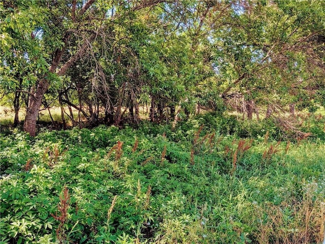 2273 Minnesota Rd, Iola, KS 66749