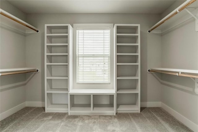 16941 S Brentwood St, Olathe, KS 66062 - walk in closet with carpet flooring