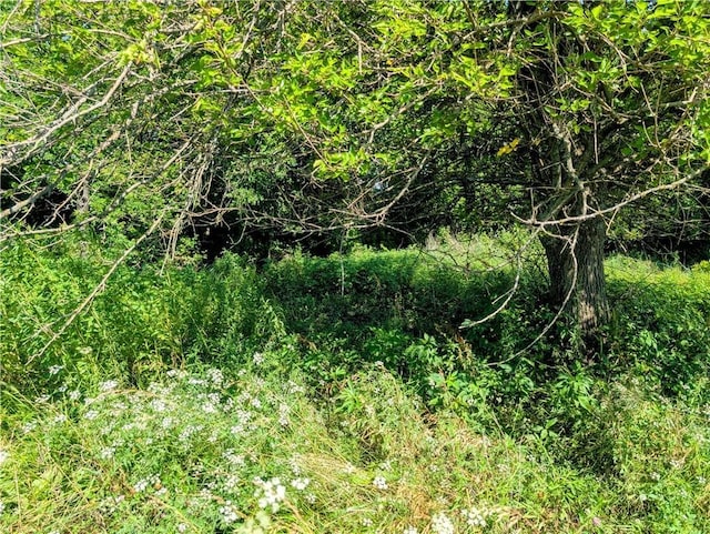2237 Minnesota Rd, Iola, KS 66749