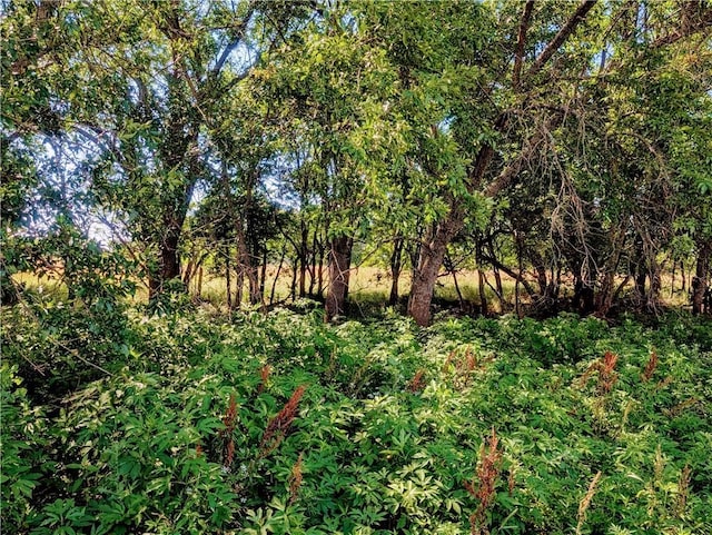 2237 Minnesota Rd, Iola, KS 66749