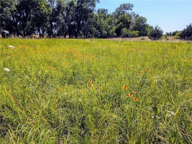 2237 Minnesota Rd, Iola, KS 66749