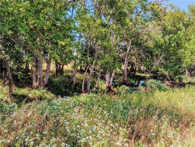 2237 Minnesota Rd, Iola, KS 66749