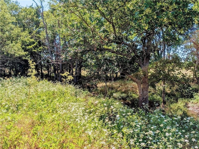 2237 Minnesota Rd, Iola, KS 66749