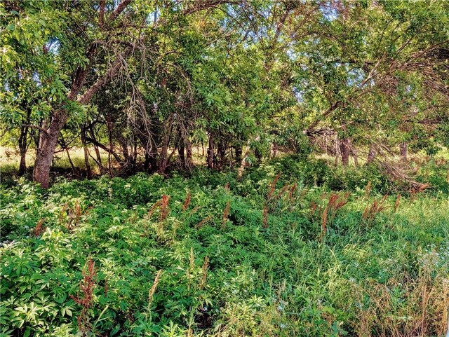 2237 Minnesota Rd, Iola, KS 66749