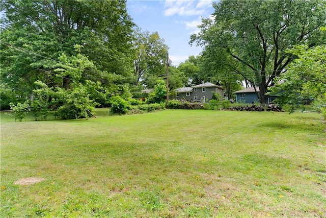 13211 Craig Ave, Grandview, MO 64030 - view of green lawn