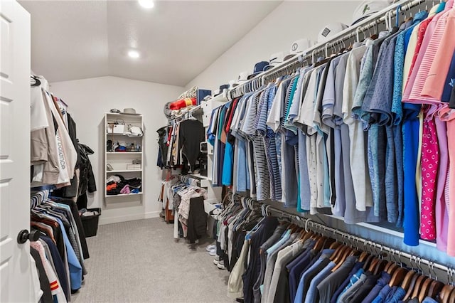 19013 W 188th Ter, Spring Hill, KS 66083 - walk in closet featuring carpet flooring and lofted ceiling