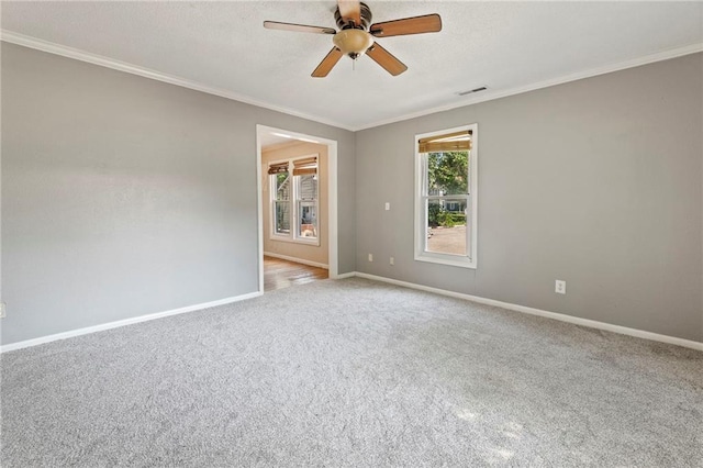 841 S Hickory St, Ottawa, KS 66067 - photo 9