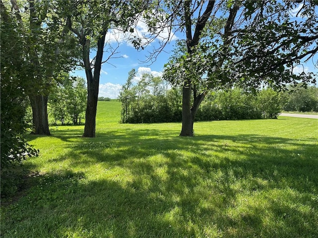 9844 169th Hwy, Union Star, MO 64494 - photo 4