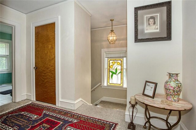 1325 W 50th St, Kansas City, MO 64112 - photo 14