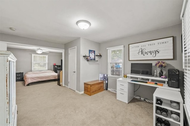 840 W Larkspur St, Olathe, KS 66061 - photo 13