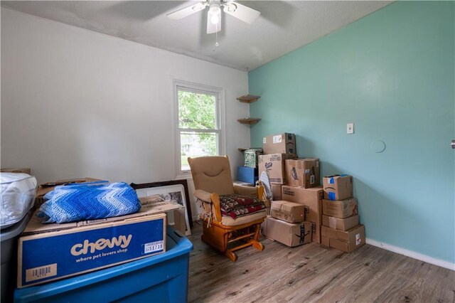 1736 Brook St, Lawrence, KS 66044 - storage with ceiling fan