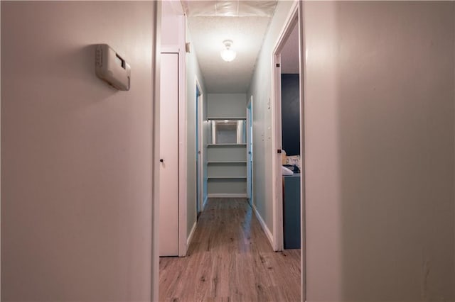 1736 Brook St, Lawrence, KS 66044 - corridor with light wood finished floors and baseboards
