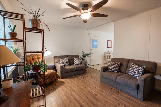 1736 Brook St, Lawrence, KS 66044 - living room featuring wood finished floors and ceiling fan