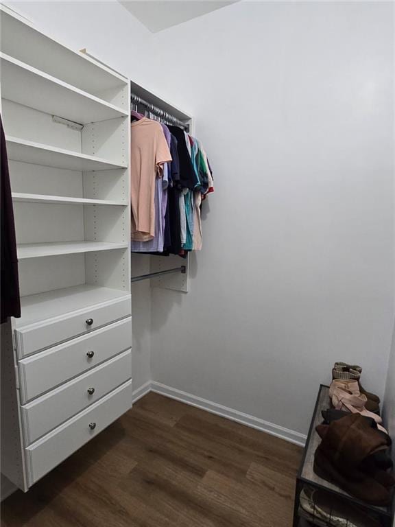 11681 S Roundtree St, Olathe, KS 66061 - walk in closet with dark wood-style floors