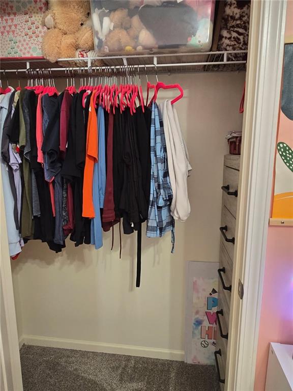 11681 S Roundtree St, Olathe, KS 66061 - view of closet