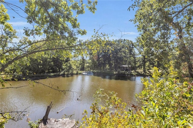 36408 E Bynum Spur Rd, Lone Jack, MO 64070 - photo 38