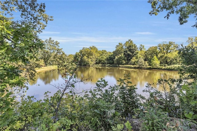 36408 E Bynum Spur Rd, Lone Jack, MO 64070 - photo 39