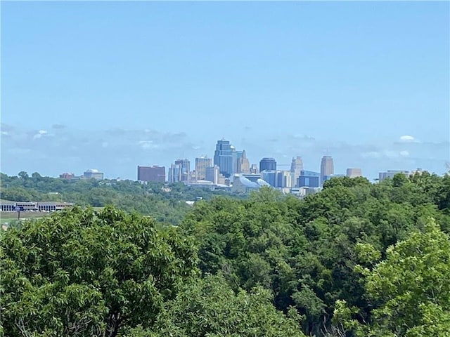 14 S Minnie St, Kansas City, KS 66103 - photo 27