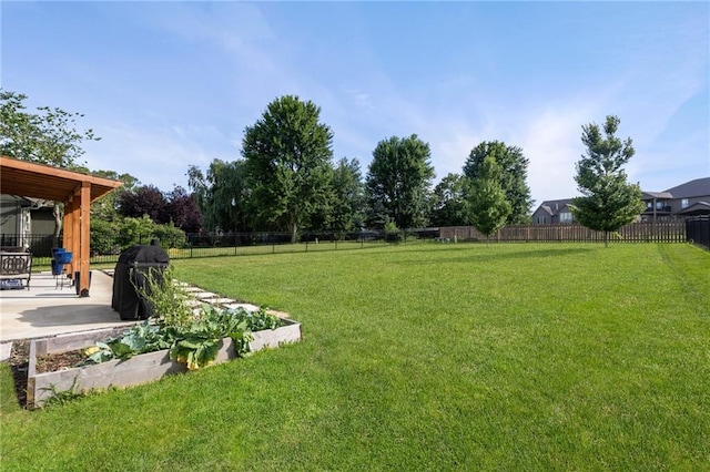 2712 SW Carlton Dr, Lees Summit, MO 64082 - fenced backyard featuring a patio