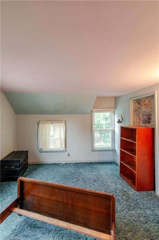 1134 Atchison St, Atchison, KS 66002 - bedroom with carpet and vaulted ceiling