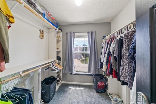 16122 W 157th St, Olathe, KS 66062 - spacious closet featuring carpet