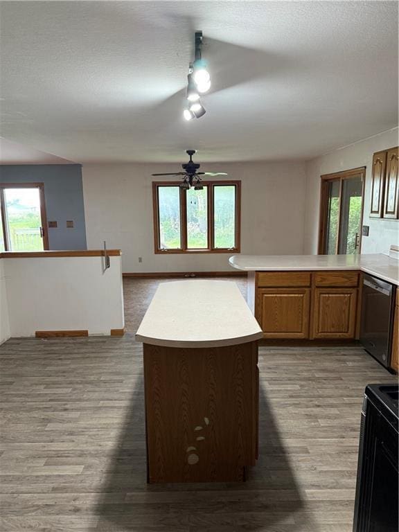 1011 N Arrowhead Dr, Burlington, KS 66839 - kitchen with stainless steel dishwasher, a ceiling fan, light countertops, rail lighting, and a peninsula