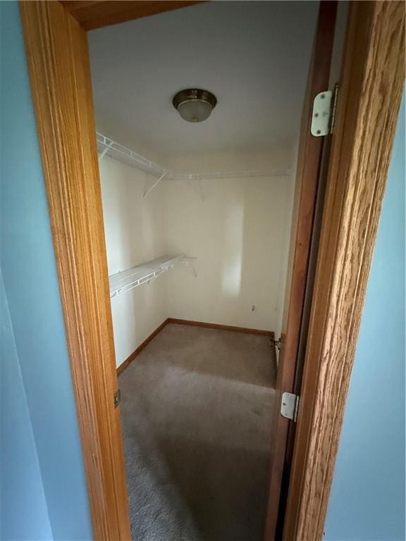 1011 N Arrowhead Dr, Burlington, KS 66839 - walk in closet with carpet floors