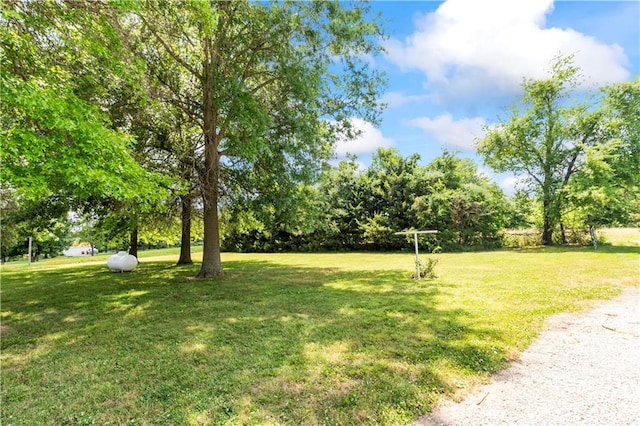 38410 E Cline Rd, Lone Jack, MO 64070 - view of grassy yard featuring view of wooded area